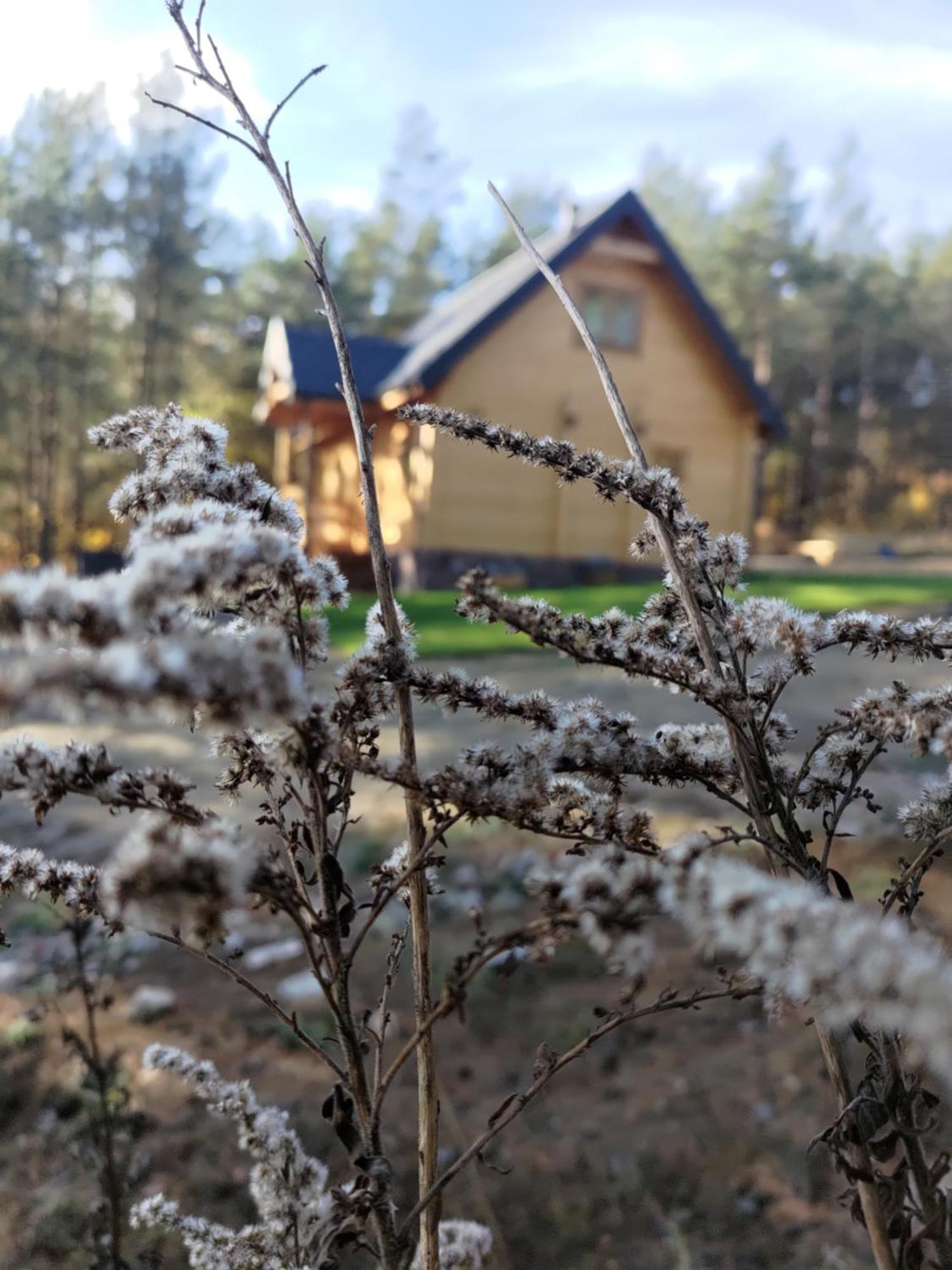 Mazurska Bania U Pana Szeptuna - Drewniany Dom Na Skraju Lasu Lidzbark Welski ภายนอก รูปภาพ